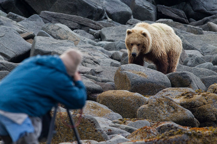 Keep a Minimum Distance from the Wild Animals