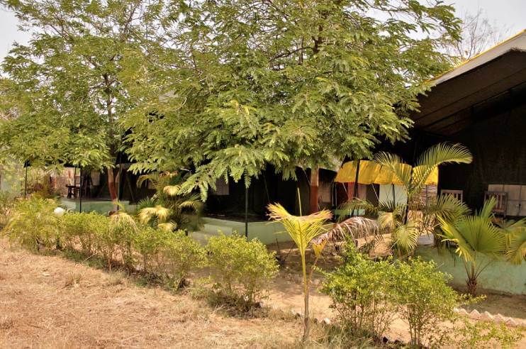 Nagzira Nature Camp