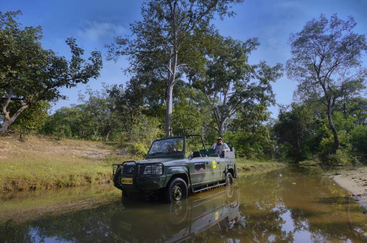 Pench National Park Safari