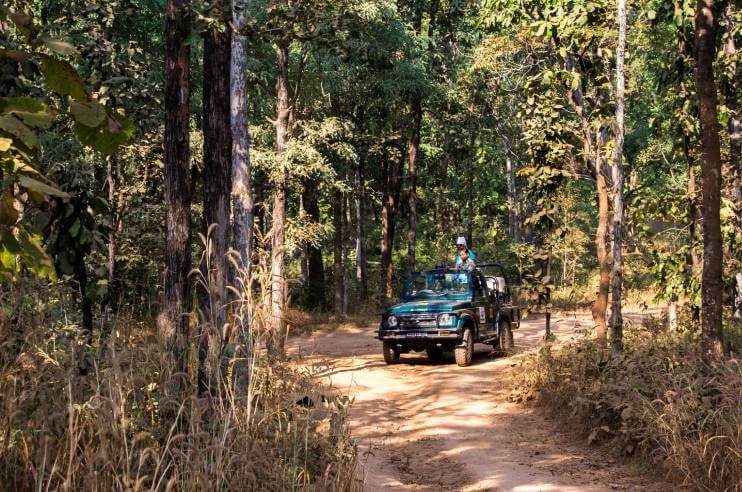 Pench Tiger Reserve Safari