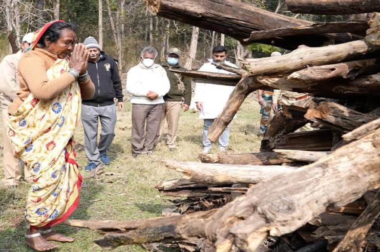 Pench National Park Tigress Collarwali Died Madhya Pradesh