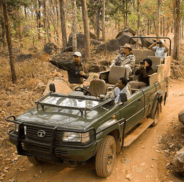 Kanha National Park & Tiger Reserve, Madhya Pradesh, India