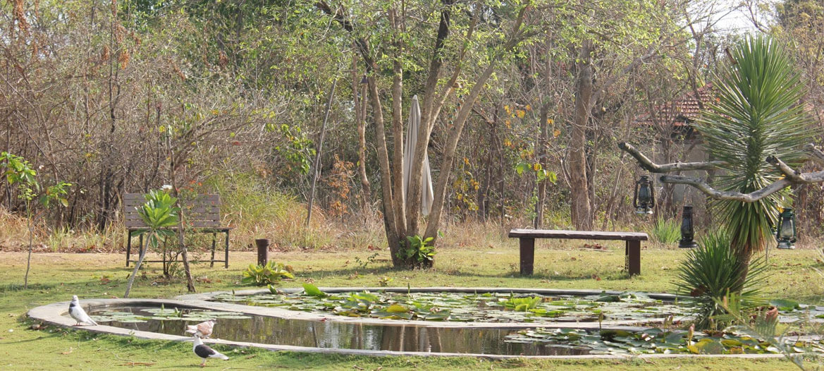 Pench Banner